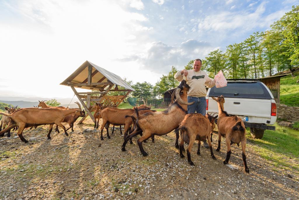 Agriturismo Casapasserini Londa Eksteriør billede