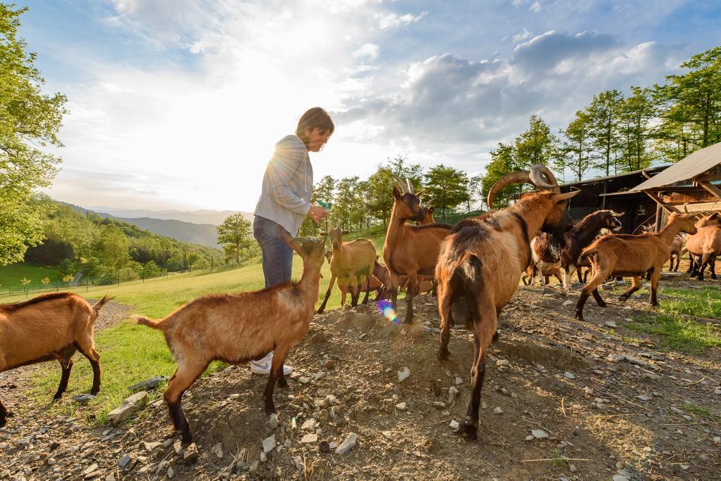 Agriturismo Casapasserini Londa Eksteriør billede