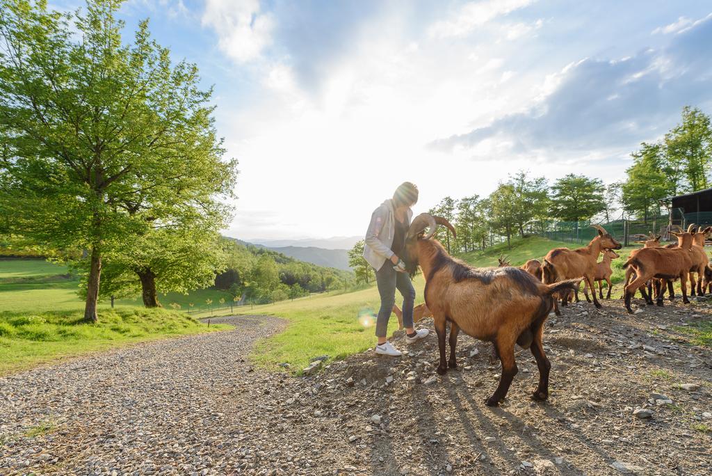 Agriturismo Casapasserini Londa Eksteriør billede